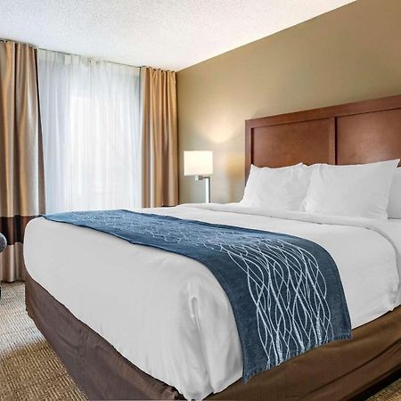 Comfort Inn & Suites Dimondale - Lansing Esterno foto