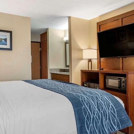 Comfort Inn & Suites Dimondale - Lansing Esterno foto