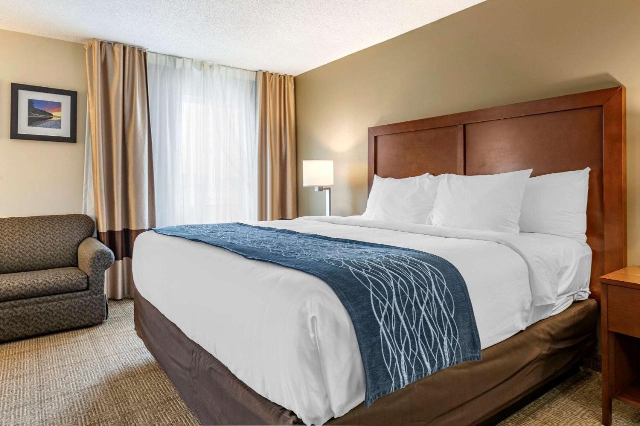 Comfort Inn & Suites Dimondale - Lansing Esterno foto