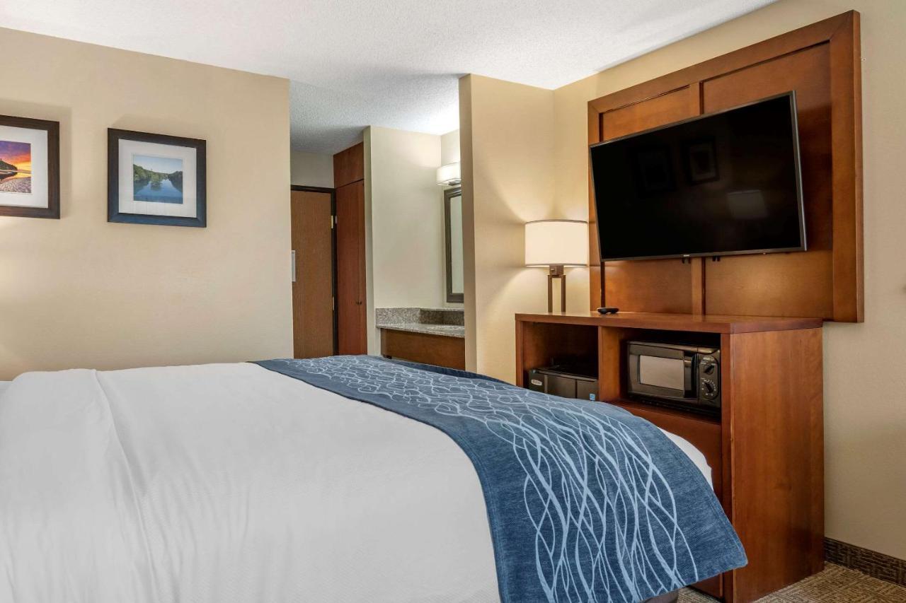 Comfort Inn & Suites Dimondale - Lansing Esterno foto