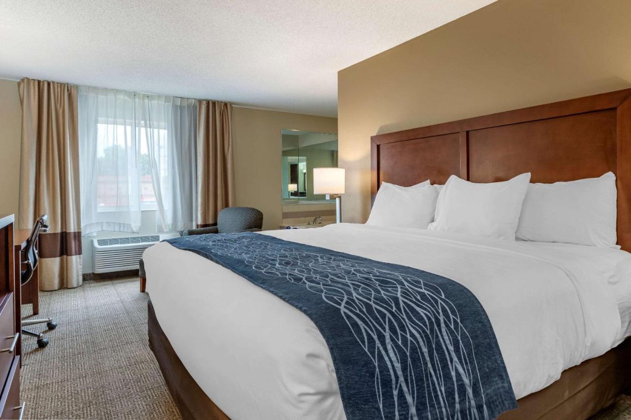 Comfort Inn & Suites Dimondale - Lansing Esterno foto