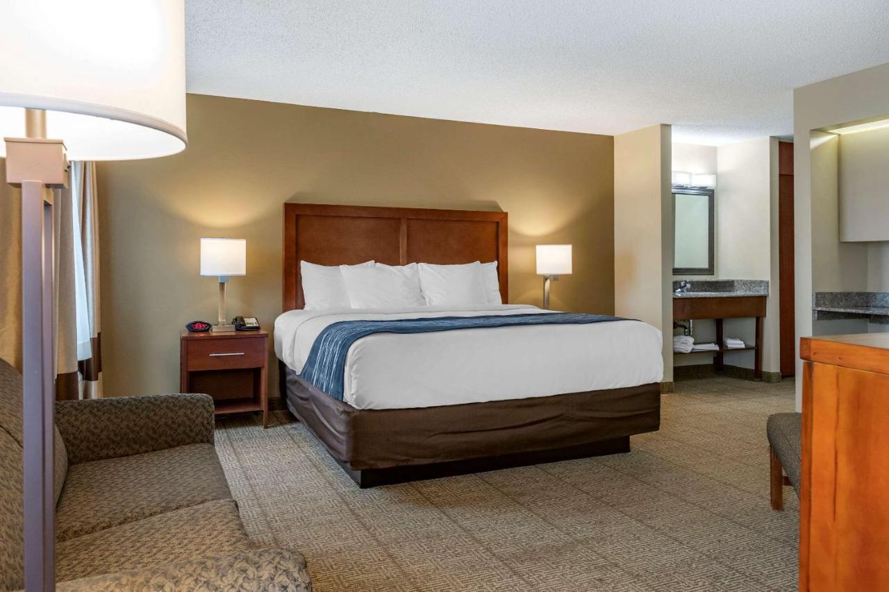 Comfort Inn & Suites Dimondale - Lansing Esterno foto