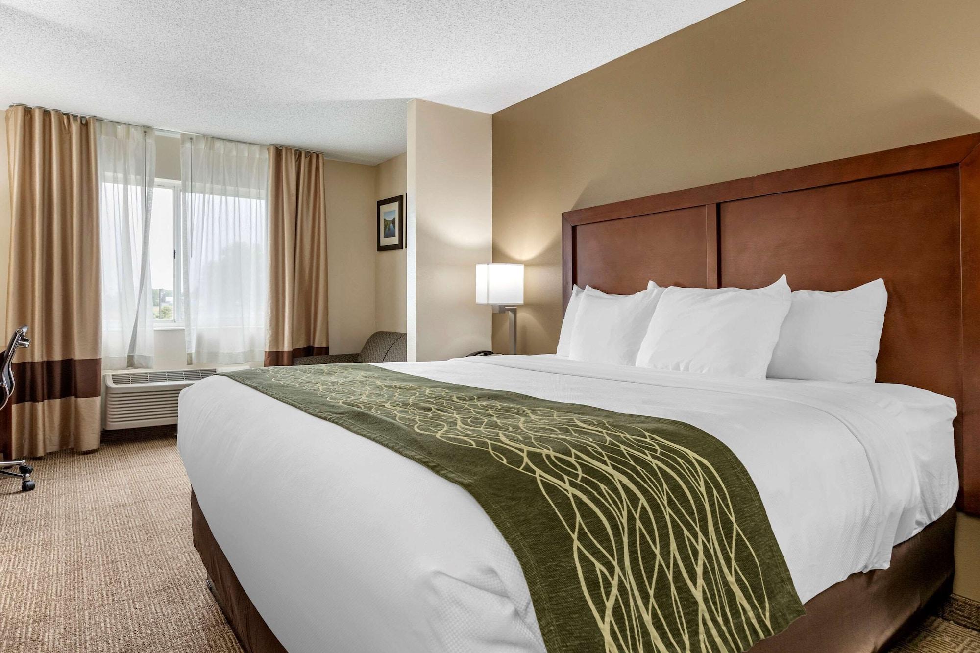 Comfort Inn & Suites Dimondale - Lansing Esterno foto