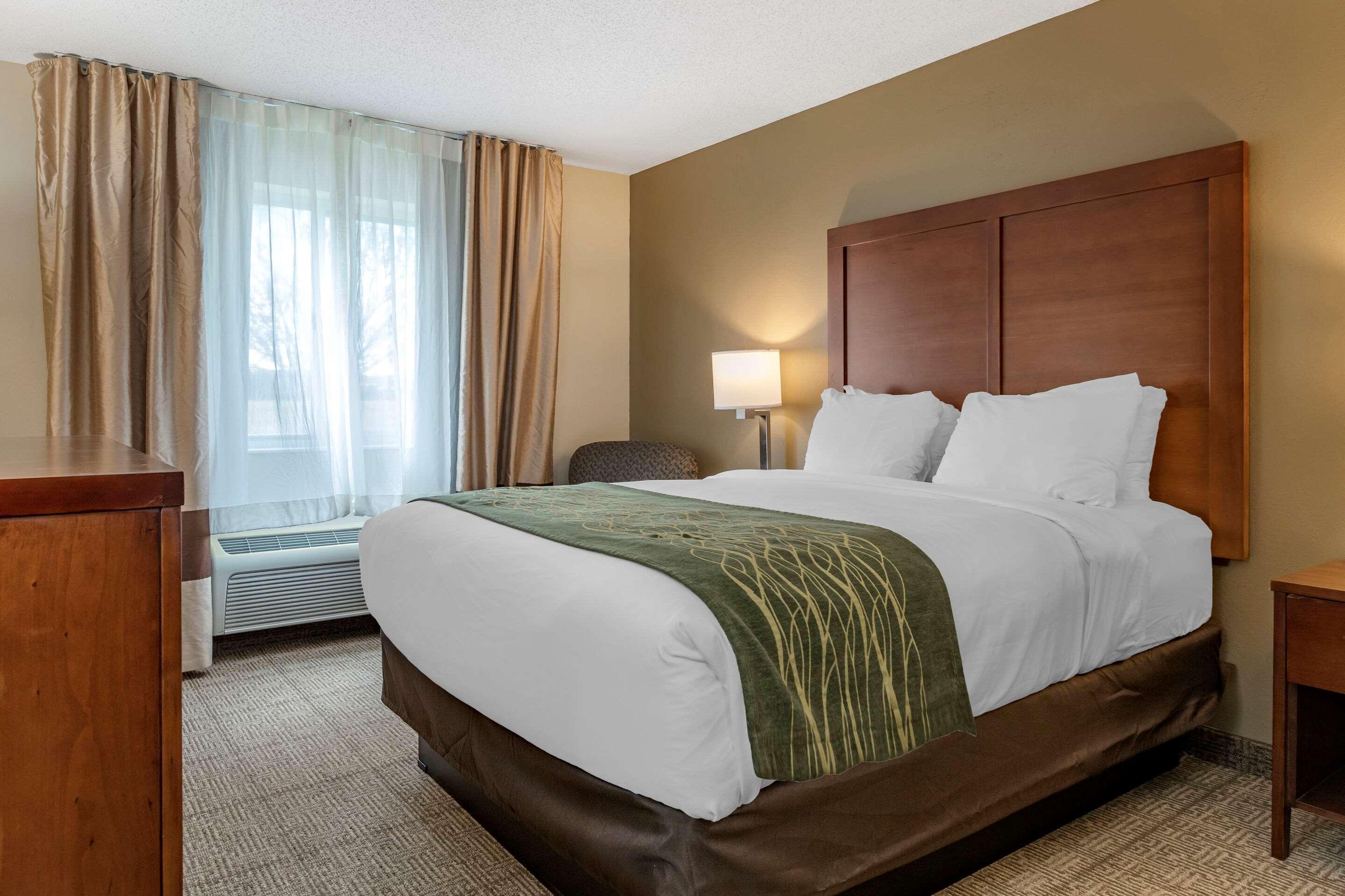 Comfort Inn & Suites Dimondale - Lansing Esterno foto