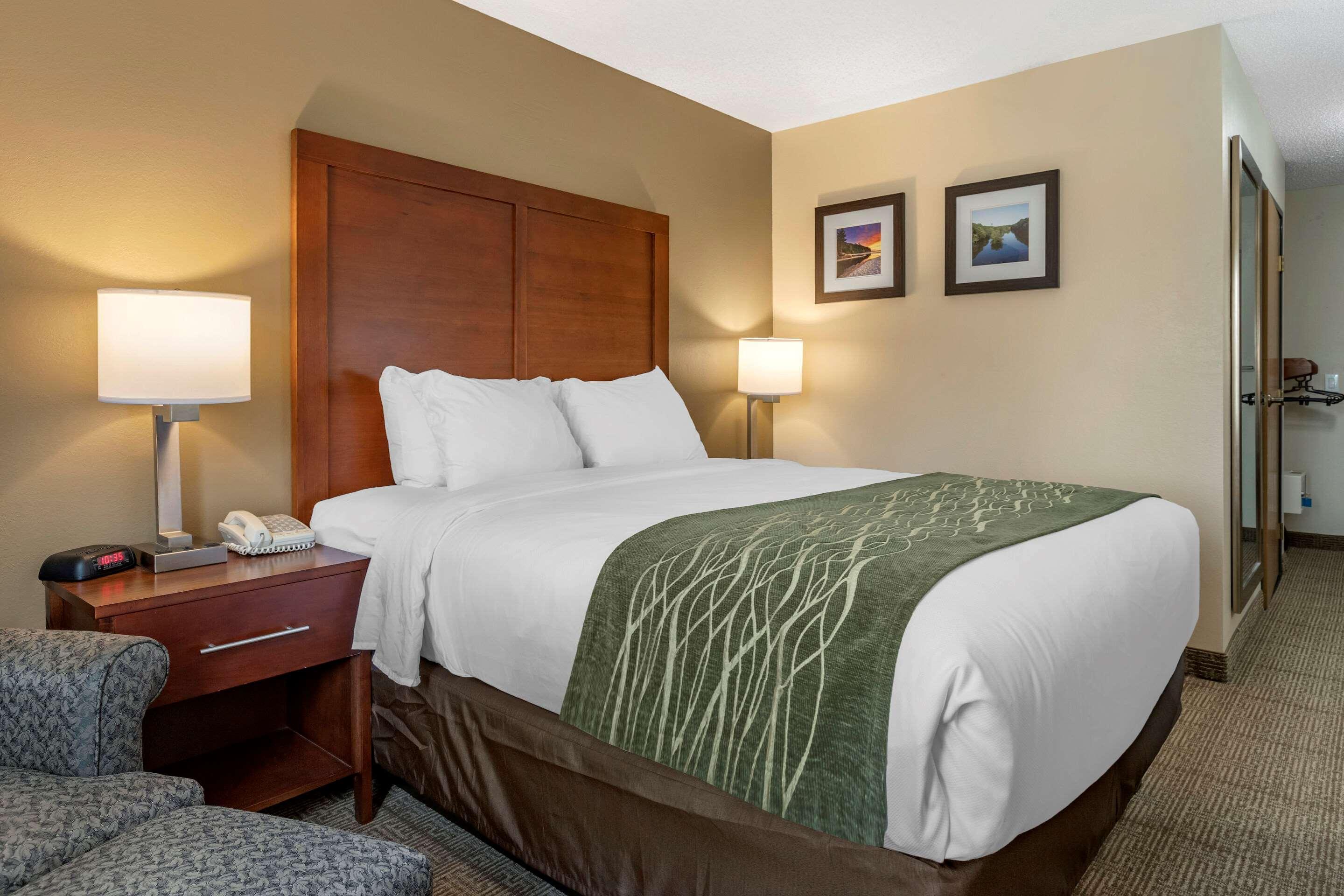 Comfort Inn & Suites Dimondale - Lansing Esterno foto