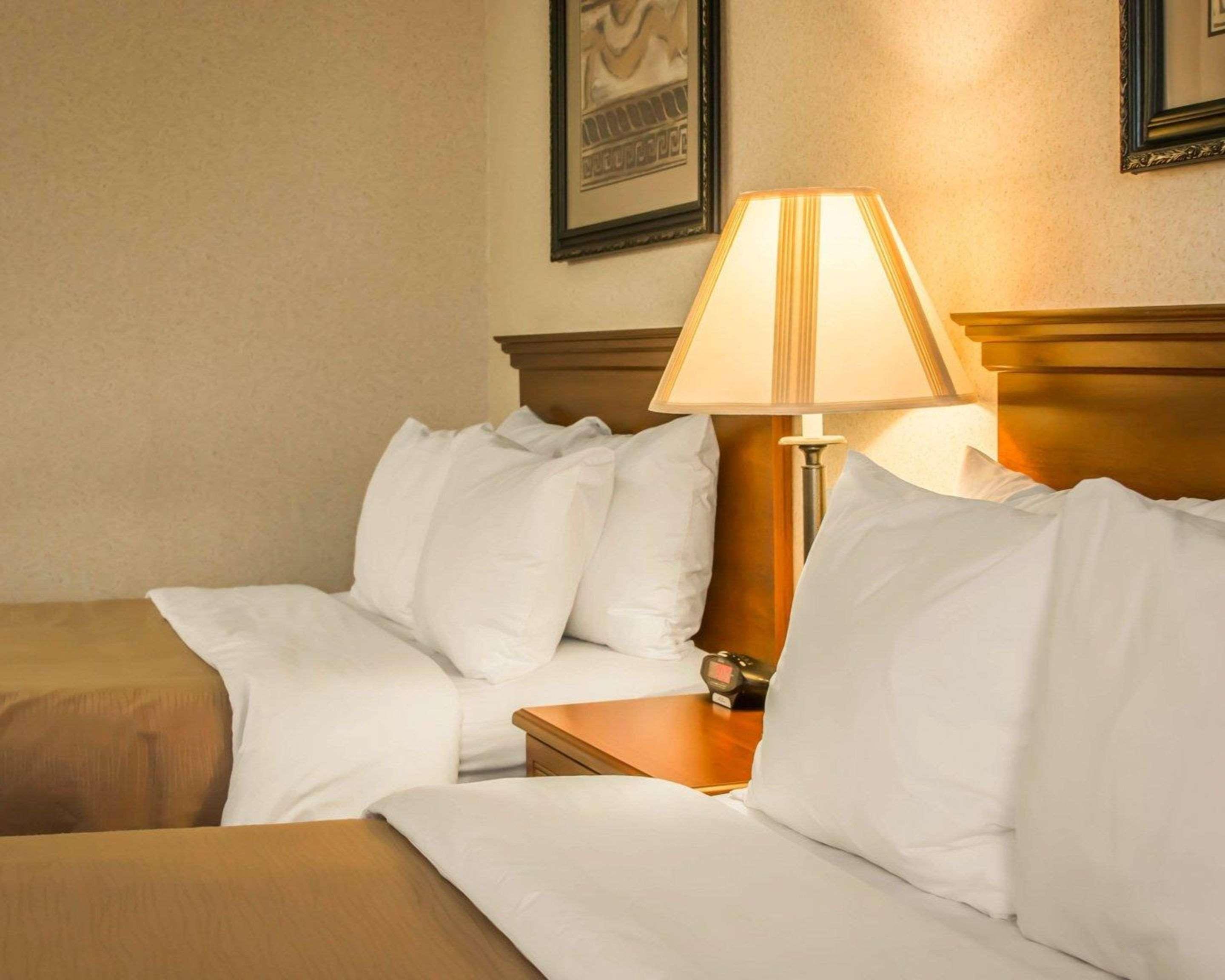 Comfort Inn & Suites Dimondale - Lansing Esterno foto