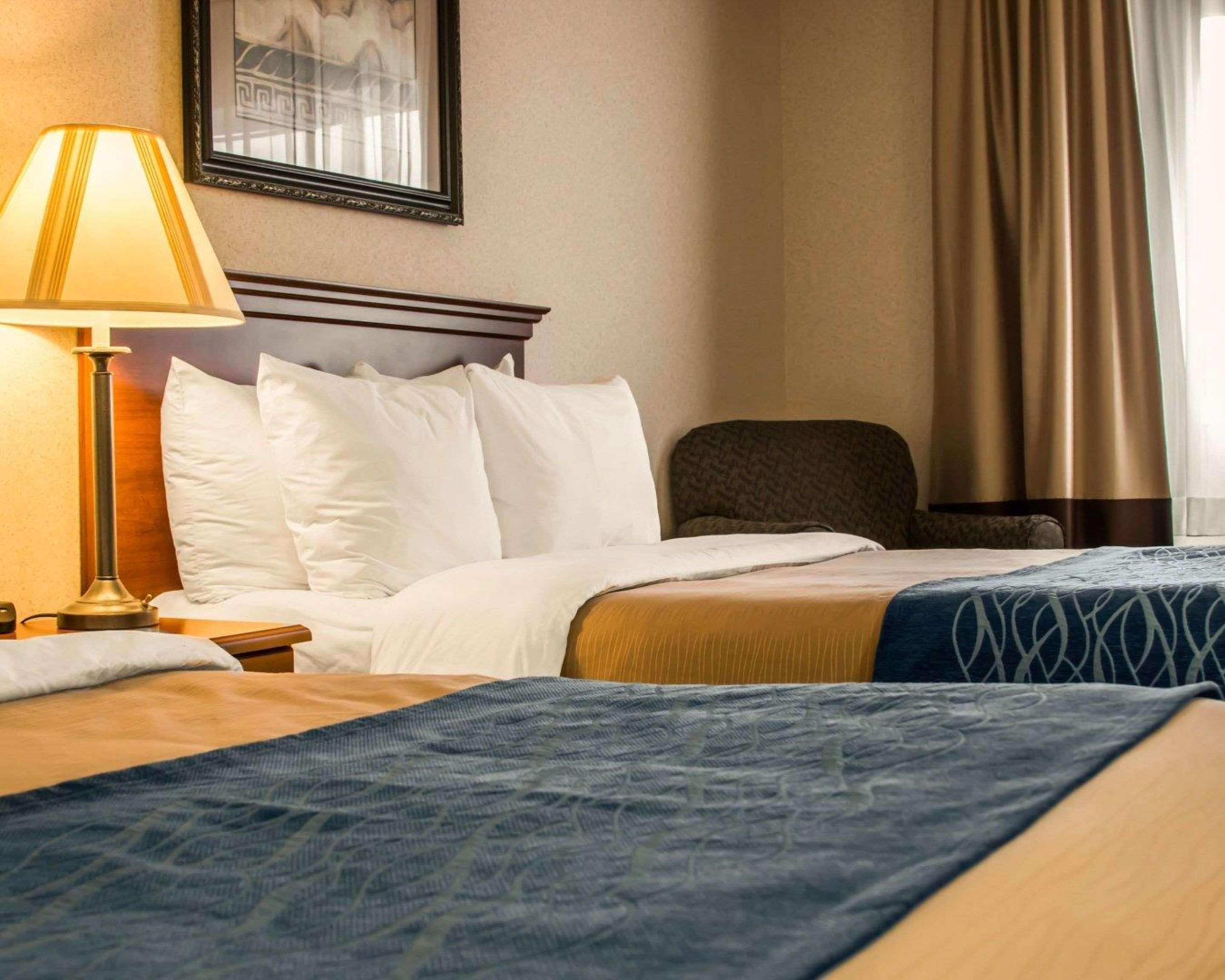 Comfort Inn & Suites Dimondale - Lansing Esterno foto