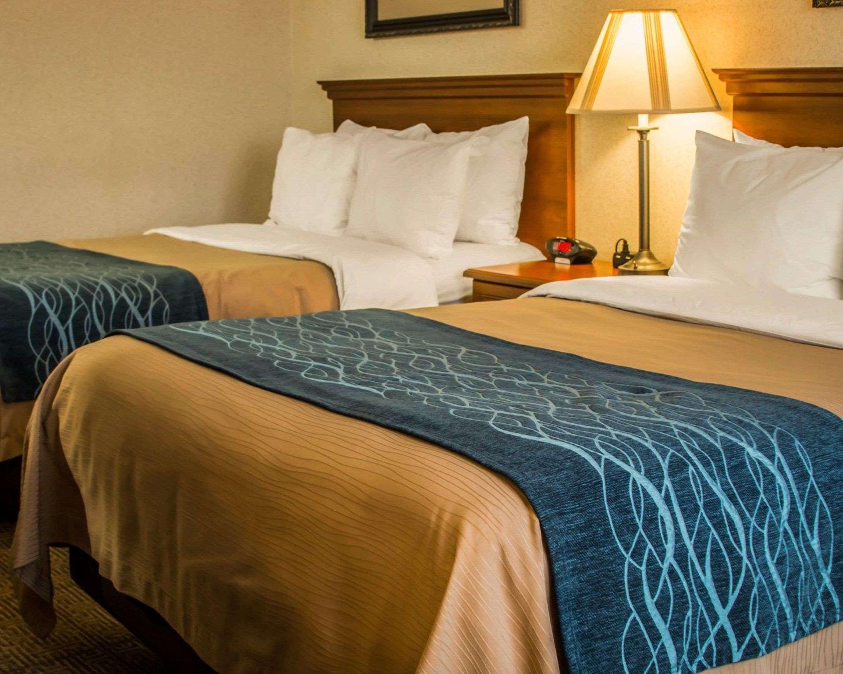 Comfort Inn & Suites Dimondale - Lansing Esterno foto