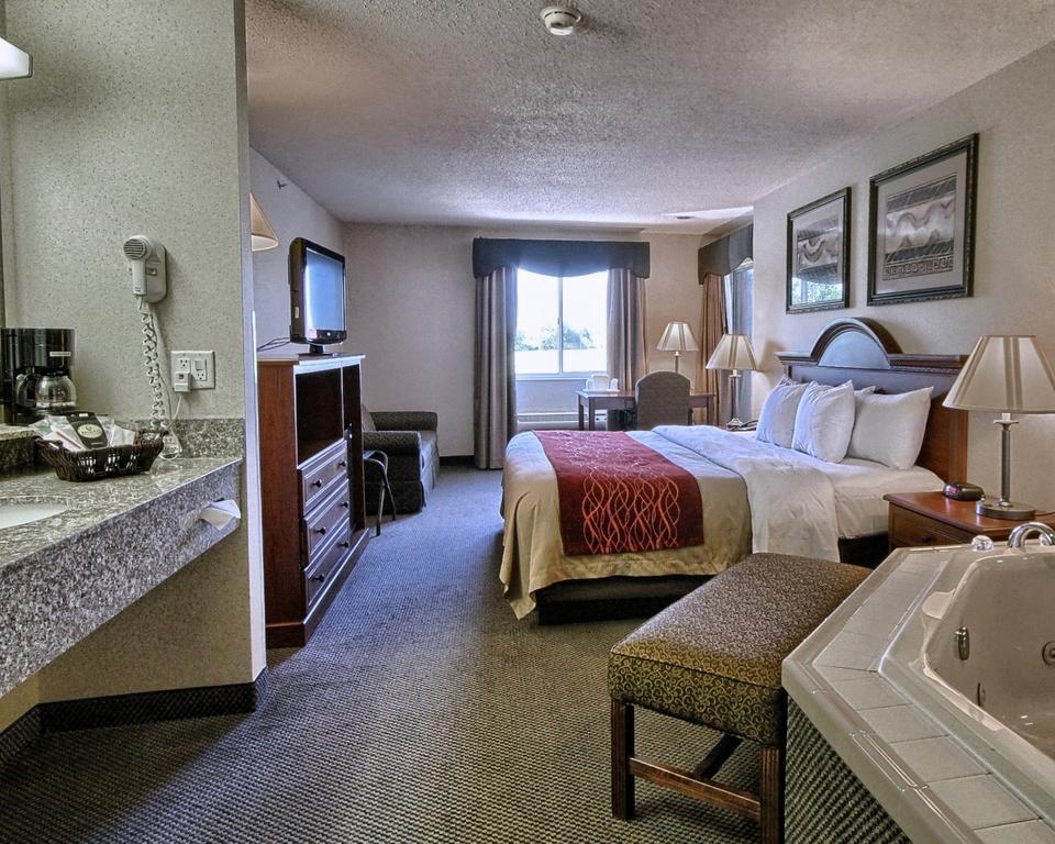 Comfort Inn & Suites Dimondale - Lansing Esterno foto