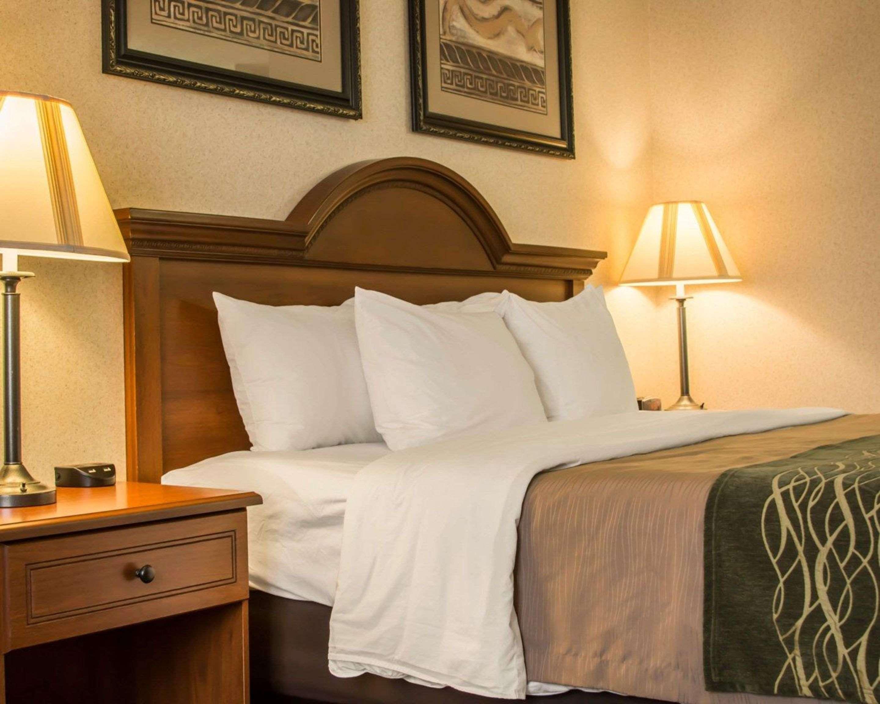 Comfort Inn & Suites Dimondale - Lansing Esterno foto