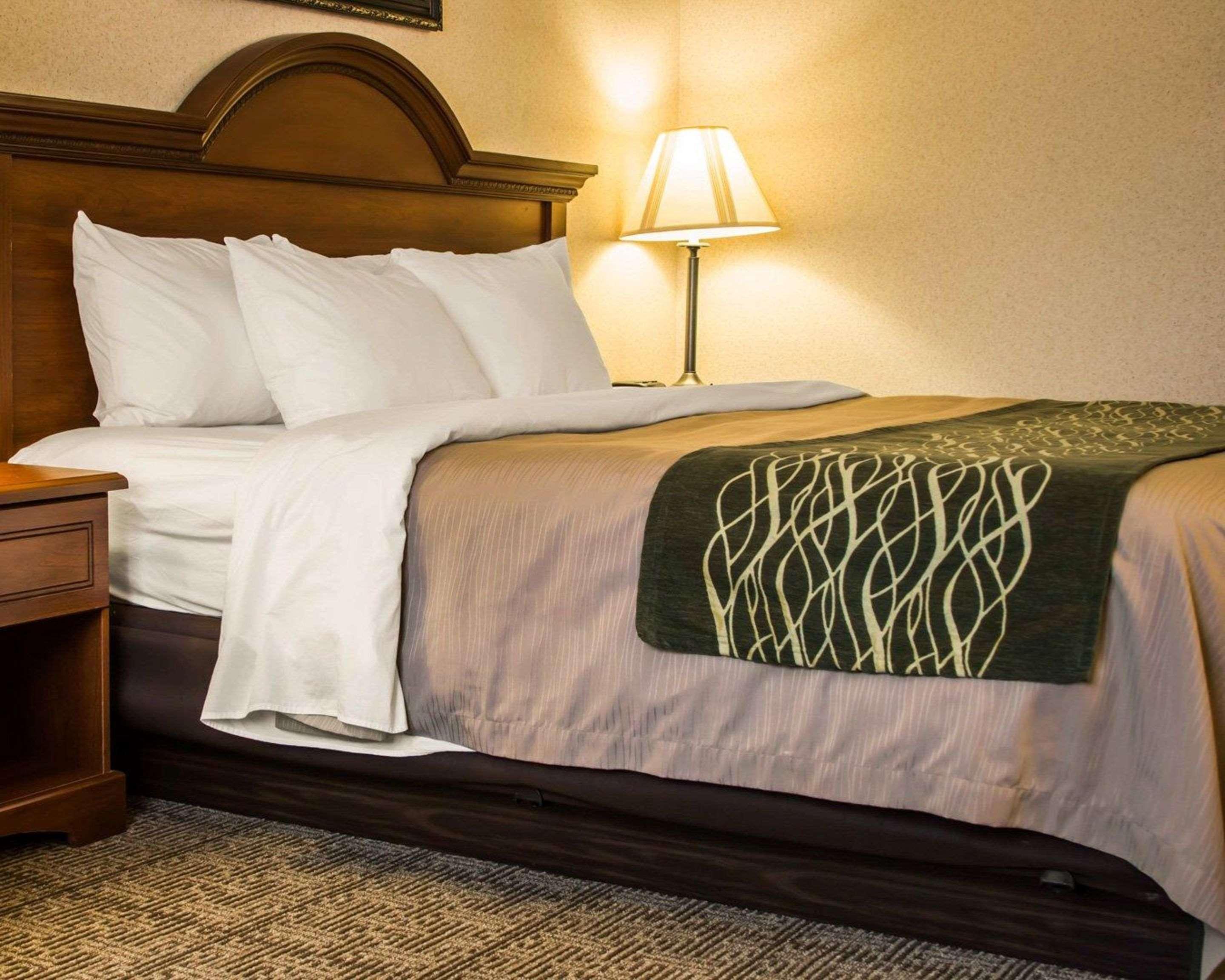 Comfort Inn & Suites Dimondale - Lansing Esterno foto