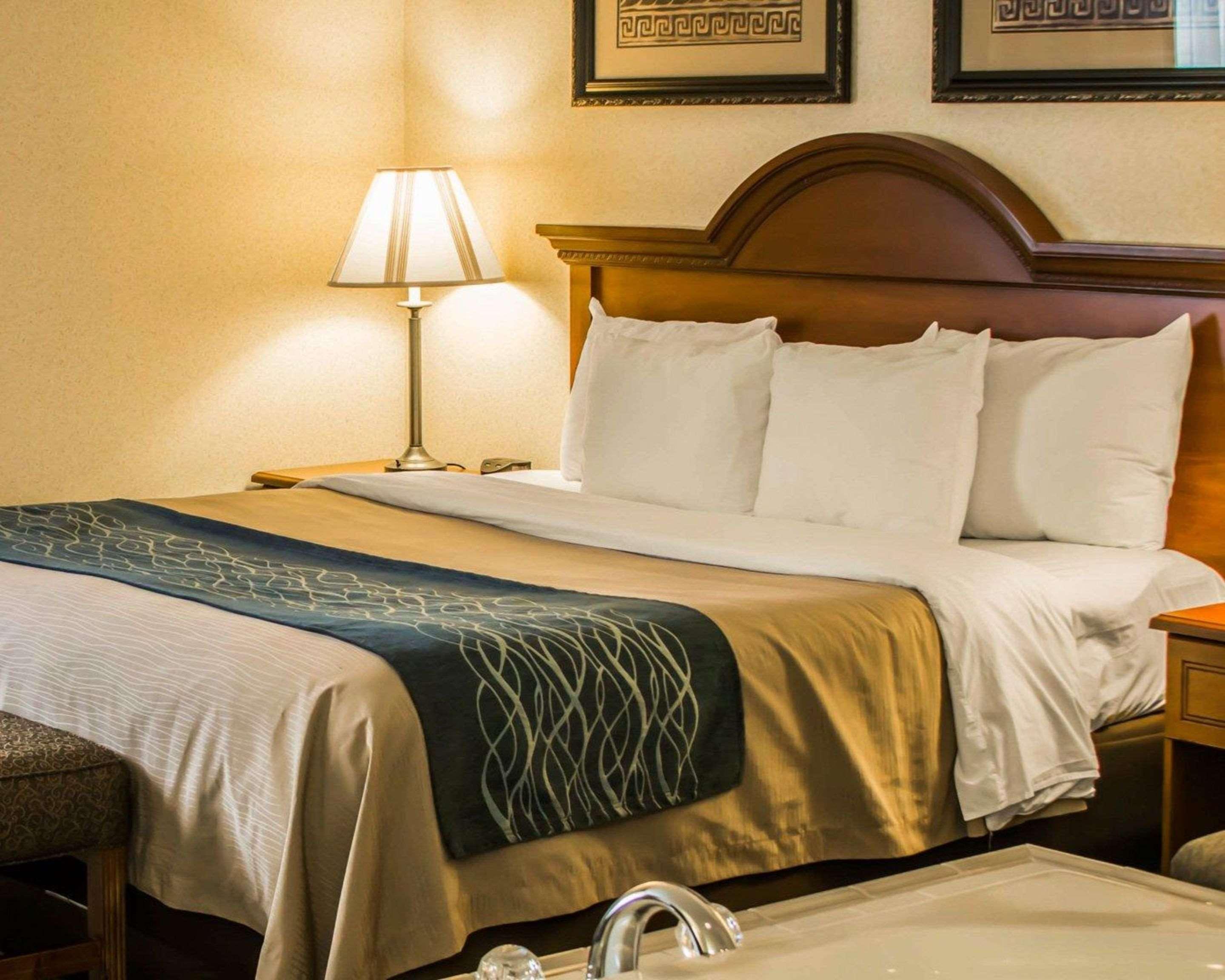 Comfort Inn & Suites Dimondale - Lansing Esterno foto