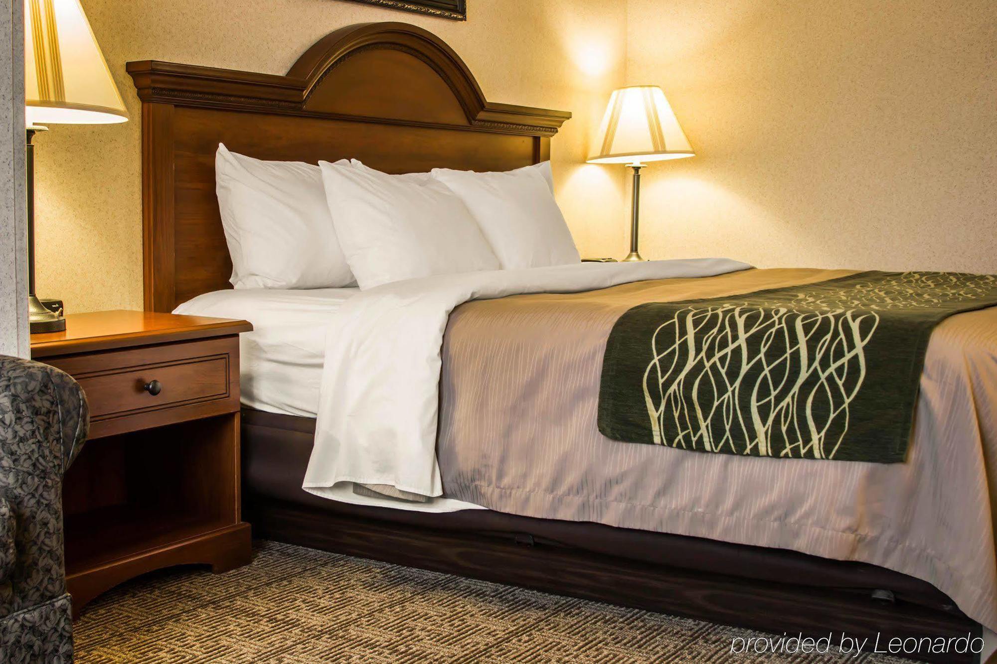 Comfort Inn & Suites Dimondale - Lansing Esterno foto