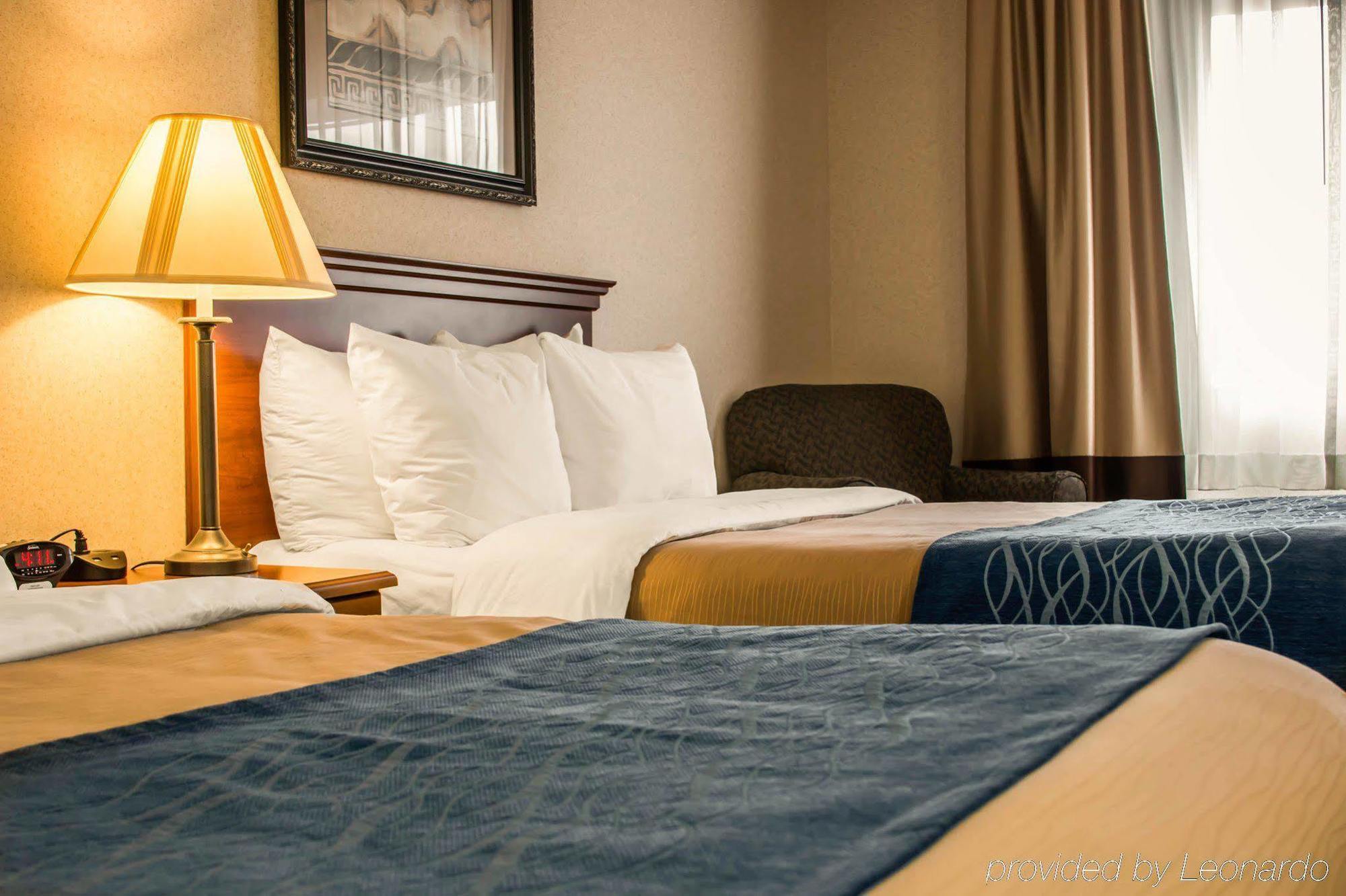 Comfort Inn & Suites Dimondale - Lansing Esterno foto